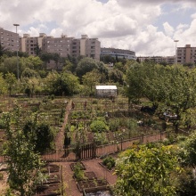 Urban gardens: return to earth and to community
